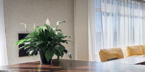 4-комн квартира Лахта тер., улица Новая, 51к1