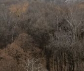 Сдать в аренду Квартиры вторичка улица Сокольнический Вал, 24К3   