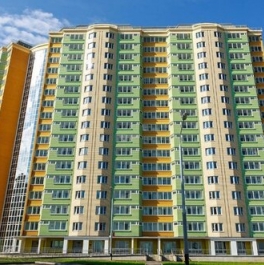 Продажа 1-комн квартиры на вторичном рынке Некрасовка п,  д. 18 к2