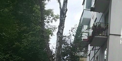 3-комн квартира Таллинская улица, 15