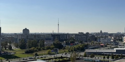 1-комн квартира дорога Кушелевская, 1к2