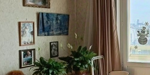 1-комн квартира улица Молодцова, 31К2