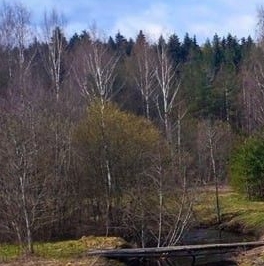 Продажа дома д. Вартемяги, улица Авиаторов, 1