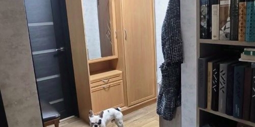 2-комн квартира Петрозаводская улица, 9К2