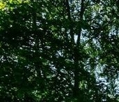 Сдать в аренду Квартиры вторичка улица Гарибальди, 8   