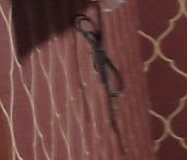 Сдать в аренду Квартиры вторичка д. Елино, 22   