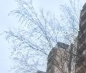 Продать Квартиры вторичка Ириновский проспект, 33/49   