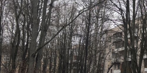 2-комн квартира Пушкин, Артиллерийская улица, 6