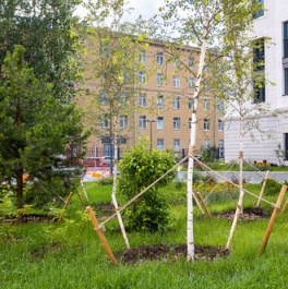 Продажа 1-комн квартиры на вторичном рынке Миргородская улица,  д. 20