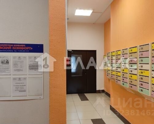 Студия д. Янино-2, улица Рябиновая, 5