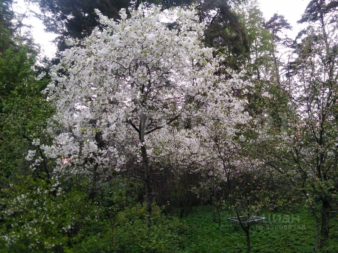 Продажа дома д. Косколово, улица Речная, 16