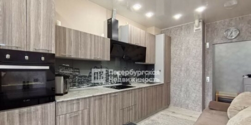 1-комн квартира Космонавтов пр-кт,  д. 63,  к. 1