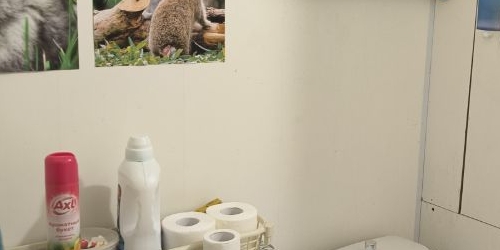 1-комн квартира улица Молодцова, 31К2