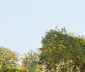 Продать Квартиры вторичка улица Седова, 99К5   