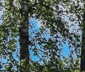 Продать Квартиры вторичка Сходня мкр, улица Тюкова, 12   