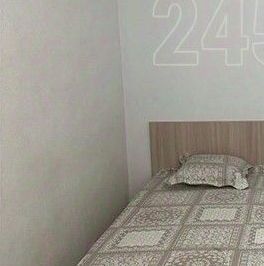 Аренда 1-комн квартиры на вторичном рынке Миклухо-Маклая улица, 40 Аренда 1-комн квартиры на вторичном рынке Миклухо-Маклая улица, 40