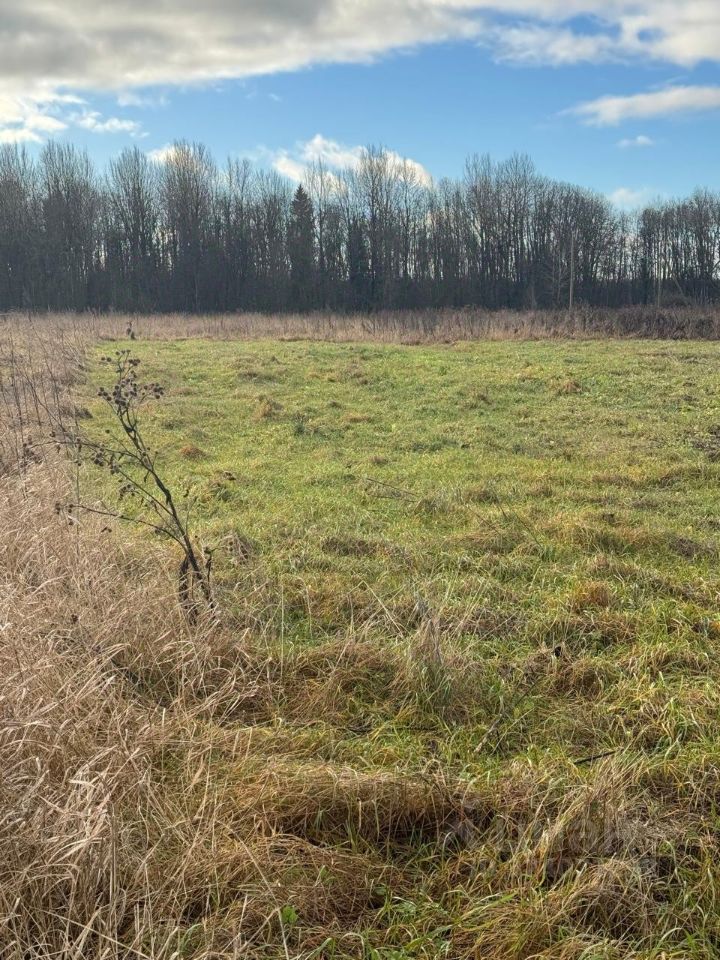 Продажа земли д. Жабино, улица Веселая