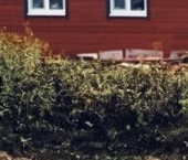 Продать Дачи, коттеджи, загородные дома Коттеджный поселок Русская усадьба   