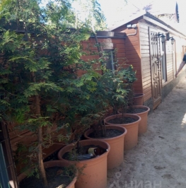 Продажа дома Ильинский, ул Карла Маркса,  д. 41