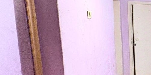 2-комн квартира Петергоф, Суворовская улица, 13