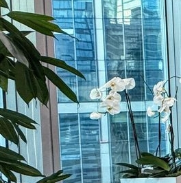 Продажа 3-комн квартиры на вторичном рынке набережная Пресненская, 8с1 Продажа 3-комн квартиры на вторичном рынке набережная Пресненская, 8с1