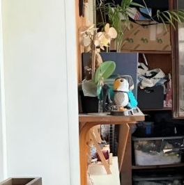 Продажа 1-комн квартиры на вторичном рынке 1-й Сетуньский проезд, 16/2 Продажа 1-комн квартиры на вторичном рынке 1-й Сетуньский проезд, 16/2