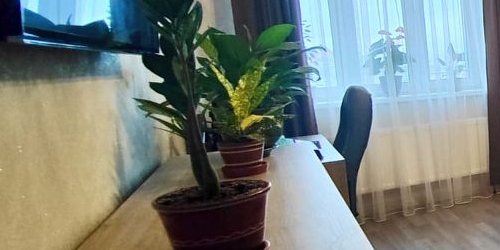 1-комн квартира Молодогвардейская улица, 24