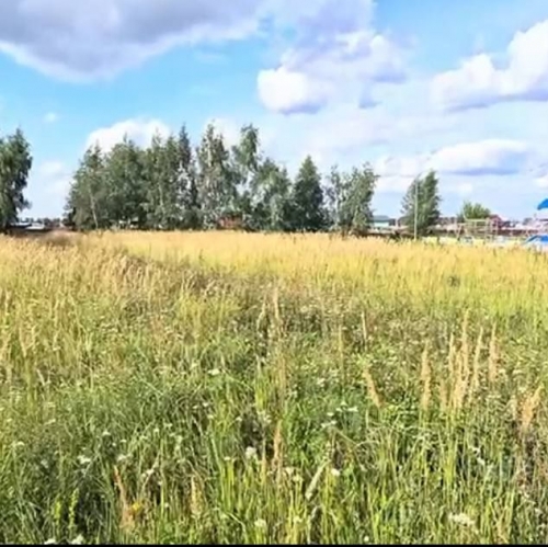 Земельный участок Мендюкино, ул Молодежная,  д. 13