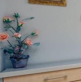 Аренда 2-комн квартиры на вторичном рынке Каменноостровский проспект, 34 Аренда 2-комн квартиры на вторичном рынке Каменноостровский проспект, 34