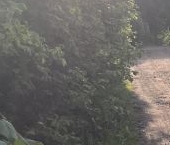 Сдать в аренду Комнаты в квартирах Красное Село, проспект Двадцать Пятого Октября, 46   