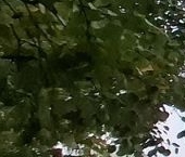 Продать Квартиры вторичка Вербная улица, 17К1   