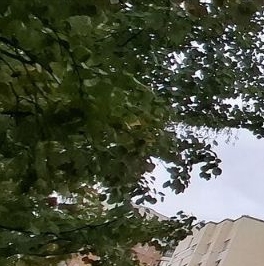 Продажа 3-комн квартиры на вторичном рынке Вербная улица, 17К1