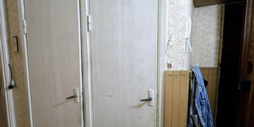 1-комн квартира Космонавтов пр-кт,  д. 66
