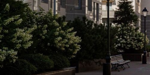 4-комн квартира проспект Средний Васильевского острова, 85