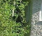 Продать Дачи, коттеджи, загородные дома пос. Песочный, Скородумовская улица, 1   