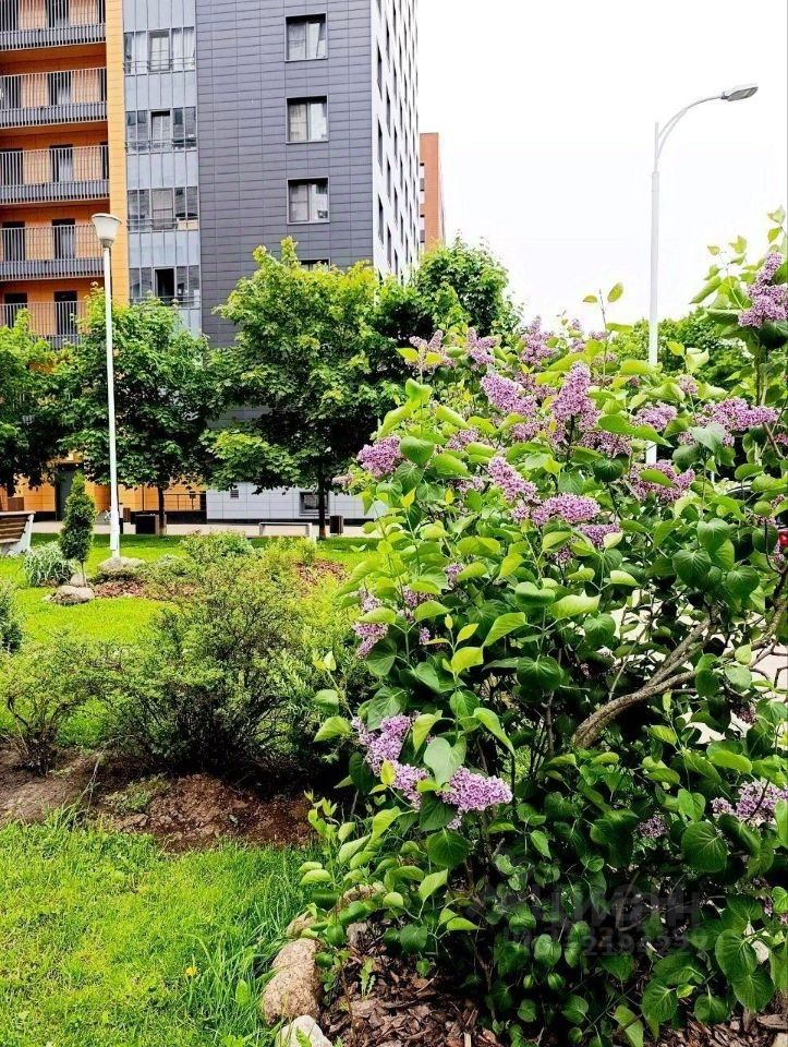 Аренда 2-комн квартиры на вторичном рынке проспект Медиков, 10к5