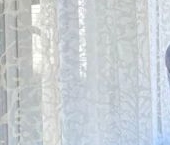 Продать Дачи, коттеджи, загородные дома Рощино пгт, аллея Еловая, 22   