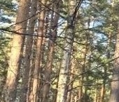 Продать Дачи, коттеджи, загородные дома Вырица городской поселок, переулок Еленинский   