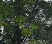 Продать Квартиры вторичка шоссе Энтузиастов, 78К2   