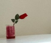 Продать Квартиры вторичка пос. Парголово, проезд Толубеевский, 8к2   