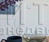 Сдать в аренду Квартиры вторичка улица Струве, 12к1   