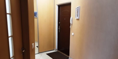 1-комн квартира Дибуновская улица,  д. 50