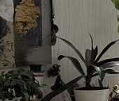 Сдать в аренду Квартиры вторичка улица Композиторов, 12Б   