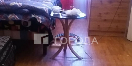 2-комн квартира улица Генерала Рычагова,  д. 14