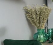 Сдать в аренду Квартиры вторичка дорога На Турухтанные острова, 5к1   