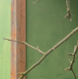 Продажа дома Дружба СНТ, улица Береговая, 349