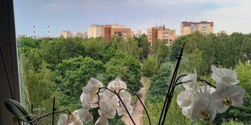 2-комн квартира пр-кт Непокорённых,  д. 16,  к. 3