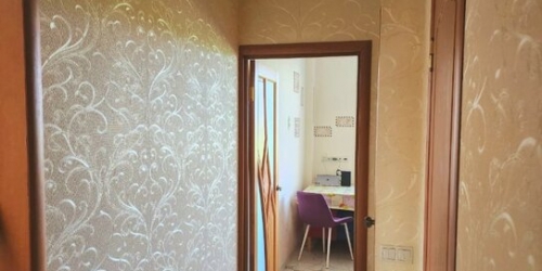 2-комн квартира улица Руднёвка,  д. 21