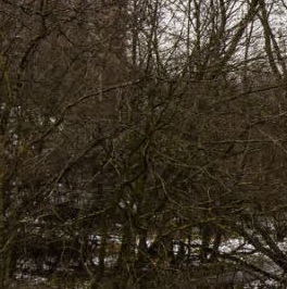 Продажа 1-комн квартиры на вторичном рынке д. Новое Девяткино, улица Арсенальная, 7 Продажа 1-комн квартиры на вторичном рынке д. Новое Девяткино, улица Арсенальная, 7