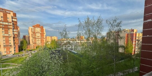 1-комн квартира Петергоф г, Чебышевская ул,  д. 9